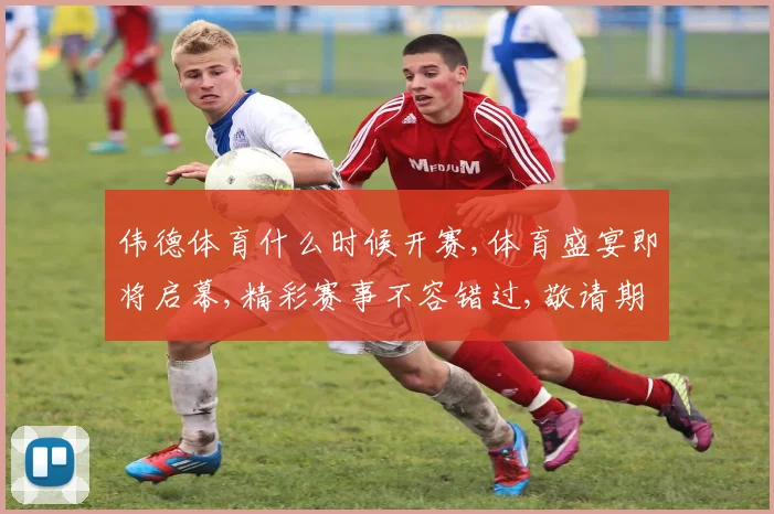 伟德体育什么时候开赛,体育盛宴即将启幕,精彩赛事不容错过,敬请期待